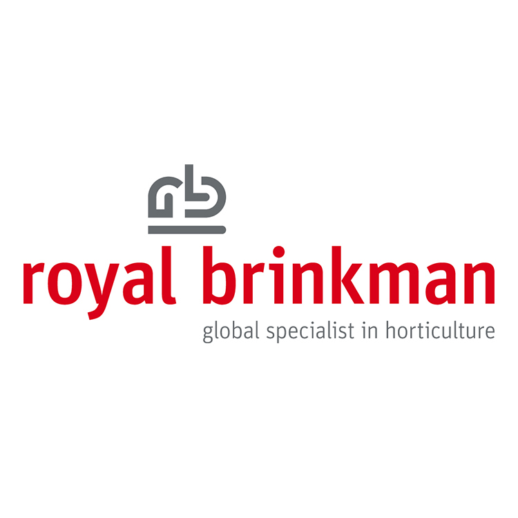 Royal Brinkman