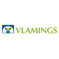 Vlamings BV