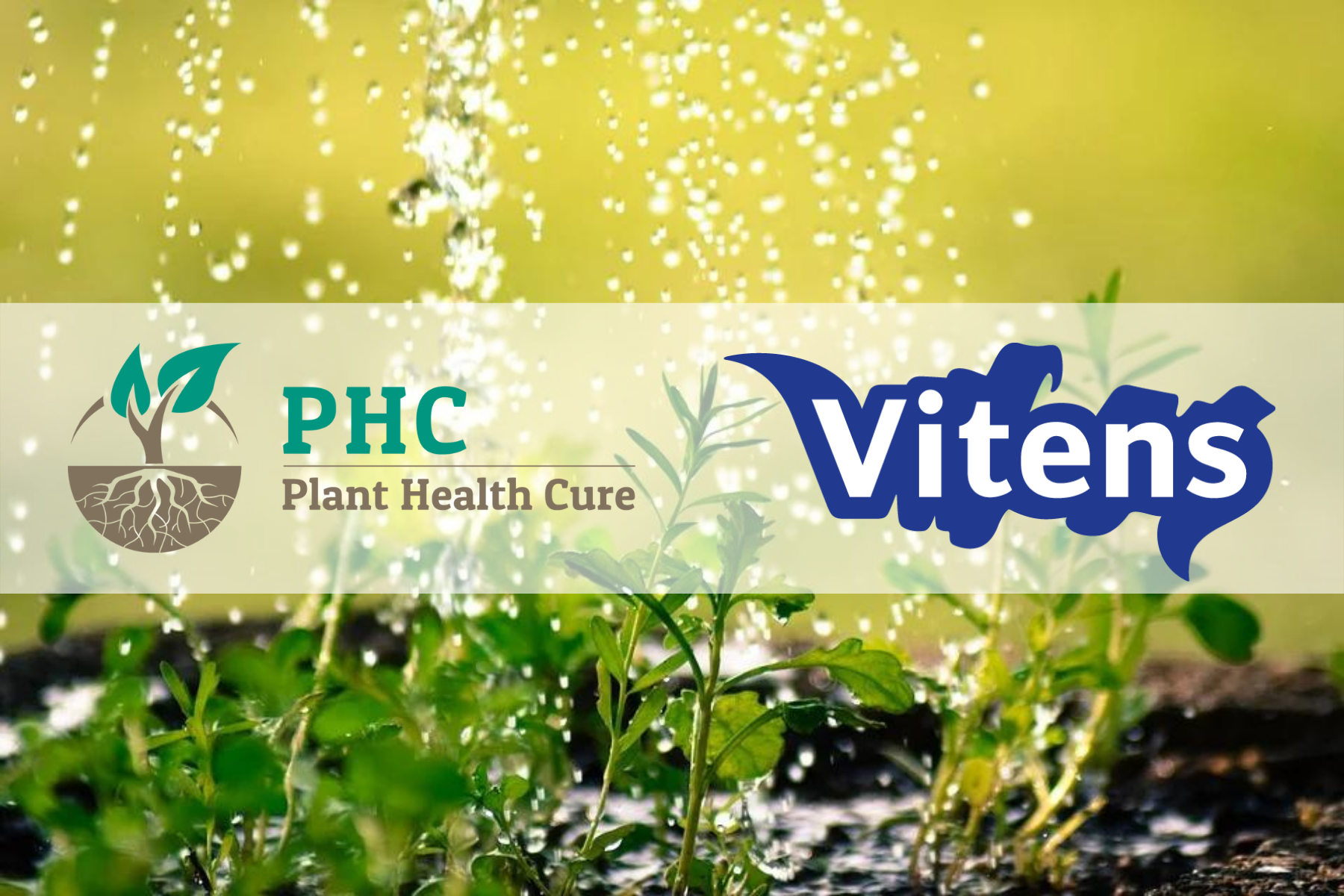 PHC and Vitens join forces to improve Dutch soil, groundwater and crop quality